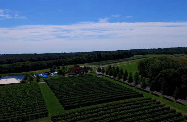 winetrail