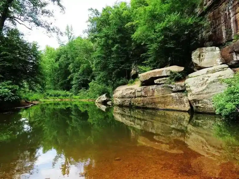 bellsmith springs southern illinois