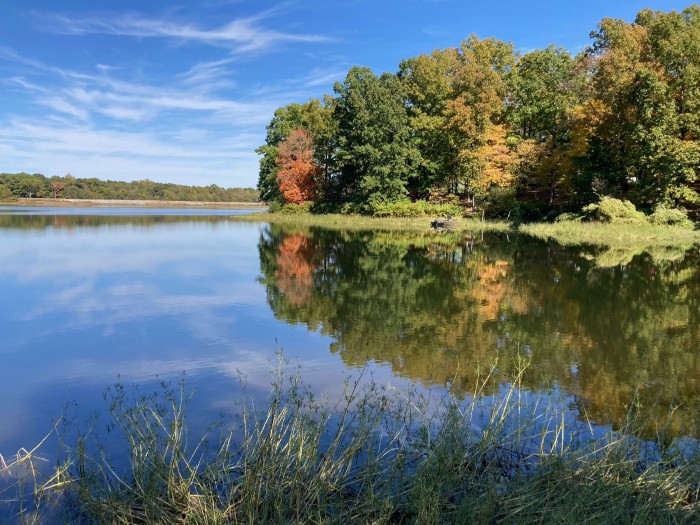 little grassy lake in southern illinois